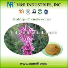 Extrato de Buddleja officinalis 2% acacetina